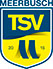 TSV